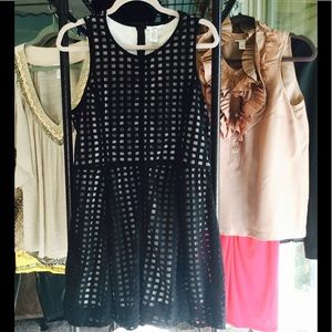 NWT Bar III dress